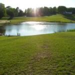 village-of-ellsworth-field