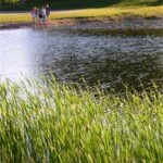 village-of-ellsworth-lake